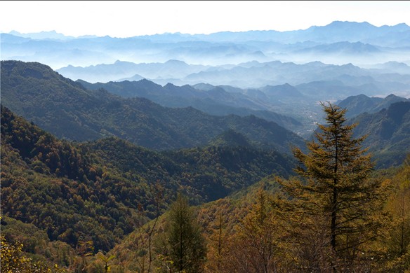 雾灵山风景