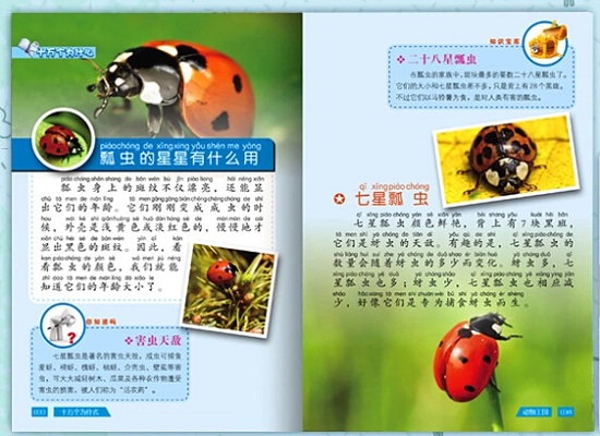 十万个为什么1
