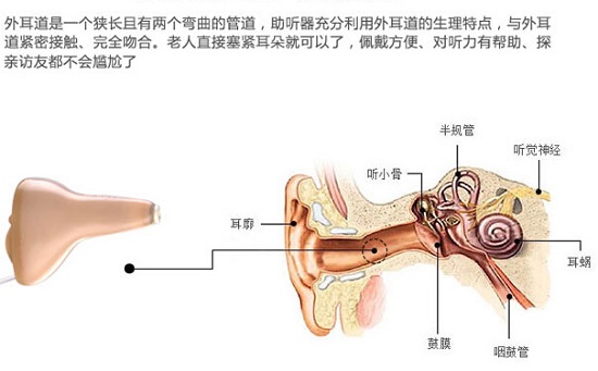 耳朵与助听器