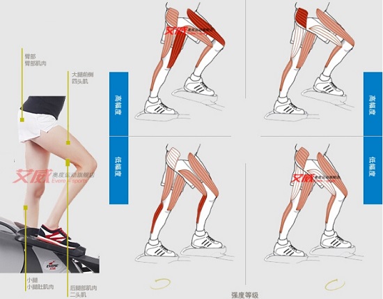 椭圆机的姿势与效果
