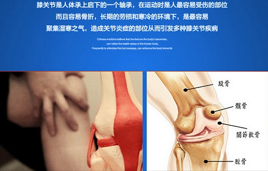 膝关节