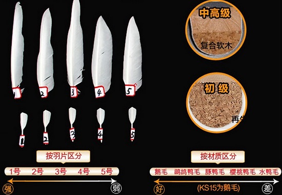 羽毛球的羽毛和球头