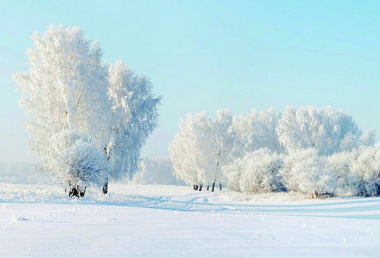 雪后