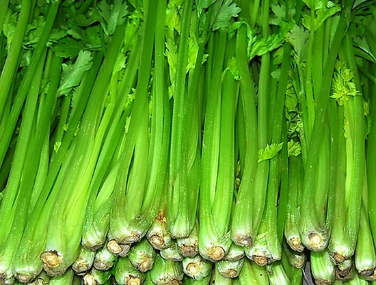 芹菜
