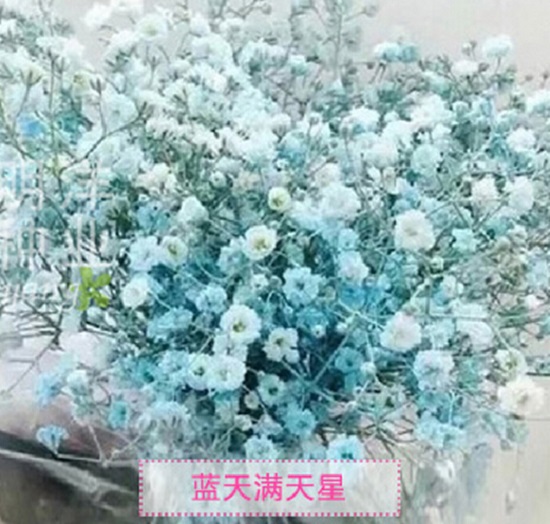 满天星