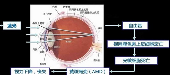 防疲劳眼镜的原理