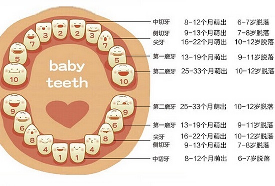 关于换牙的手抄报