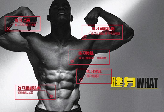 无氧增肌