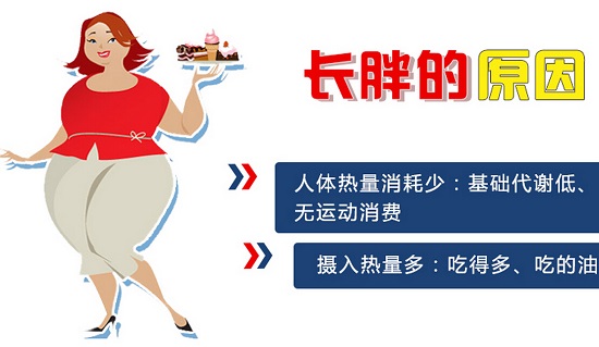 长胖的原因