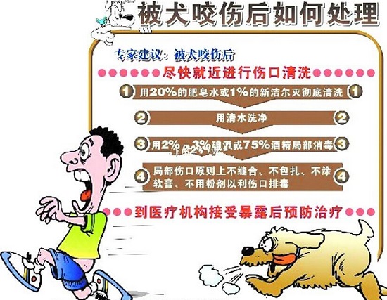 被狗咬伤后的处理方法