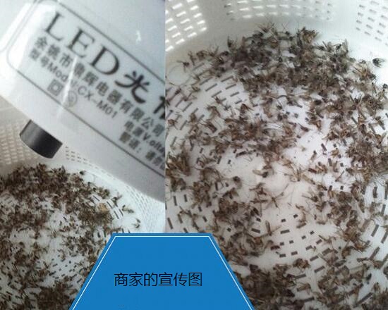 灭蚊效果