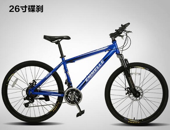 阿米尼自行车