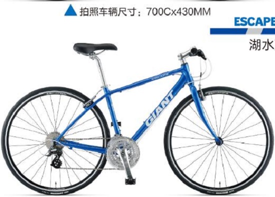 捷安特自行车