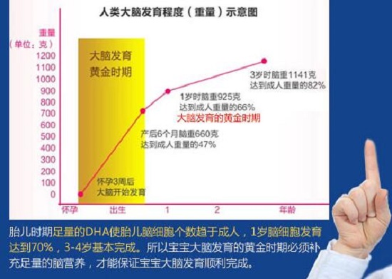 网上的DHA效果宣传图表（仅供参考）
