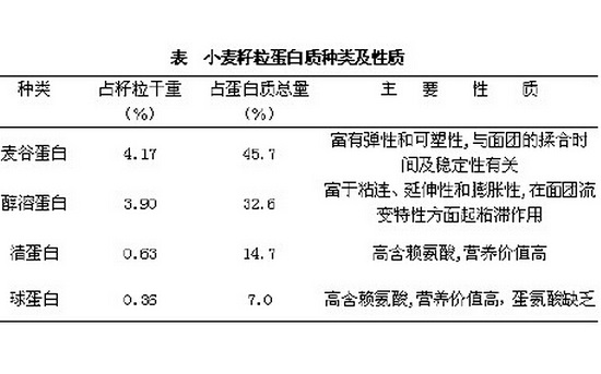 小麦的蛋白含量及作用