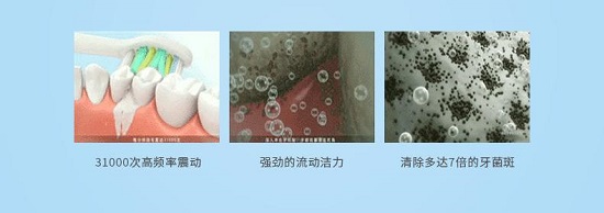 关于牙菌斑
