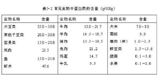 常见食物蛋白质含量表