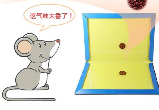 如何驱鼠灭鼠