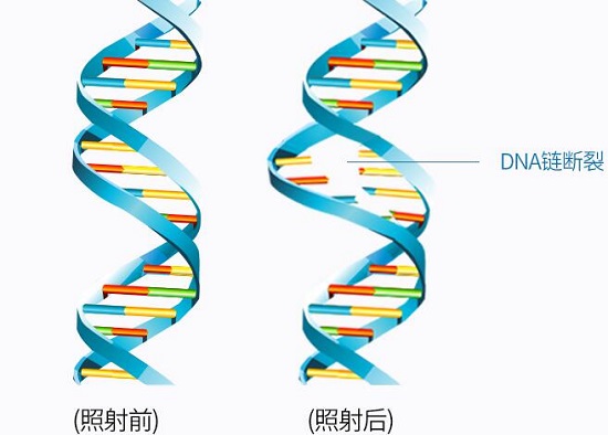 紫外线除螨灯的工作原理