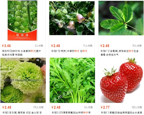 网上的种子价格便宜