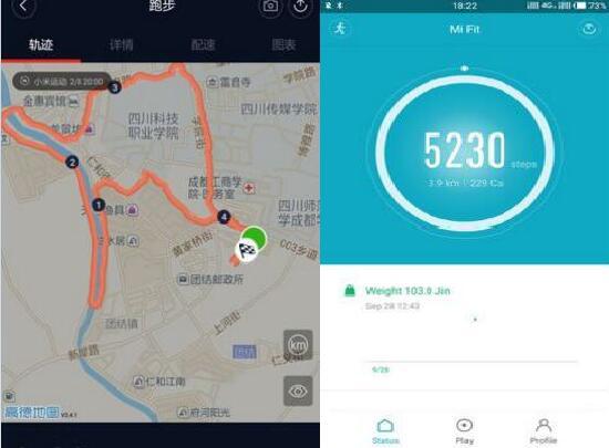 手机APP上显示的计步轨迹和步数