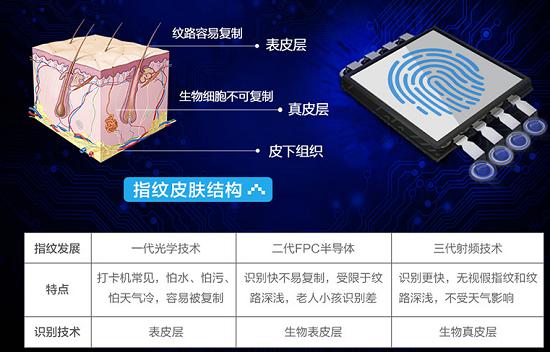 活体指纹识别