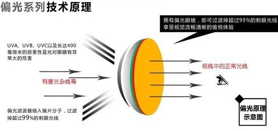 偏光镜工作原理