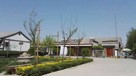 五一白洋淀游记