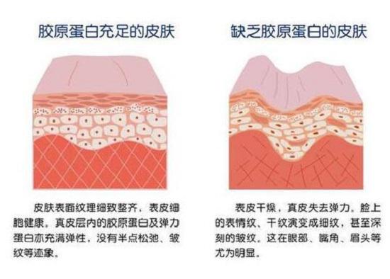 不同的皮肤状况