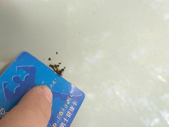 如何清除车身上的鸟屎