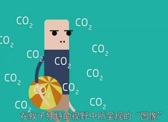 蚊子依靠二氧化碳寻找猎物