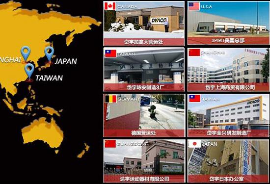 岱宇全球子公司