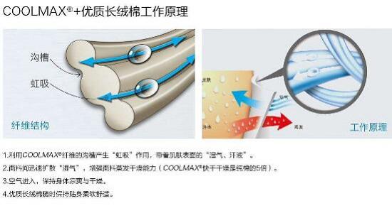 COOLMAX材料的吸湿原理