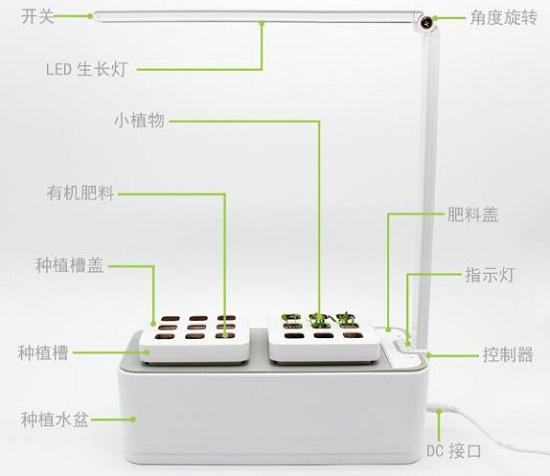 眼保姆植物种植台灯