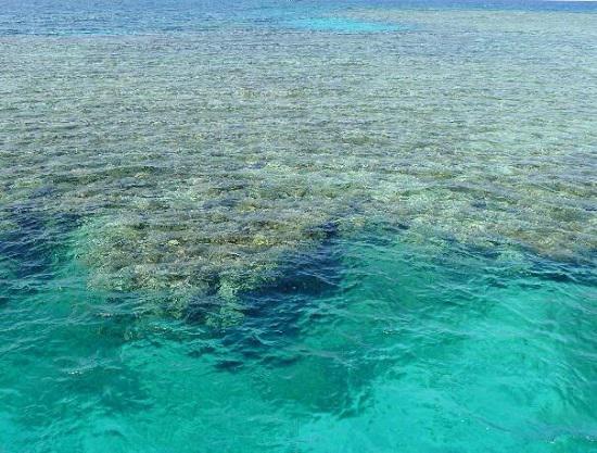 海水