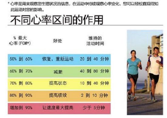 不同心率运动的功能