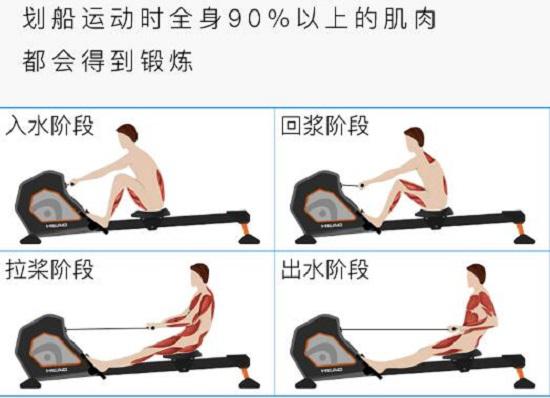 划船机的锻炼效果