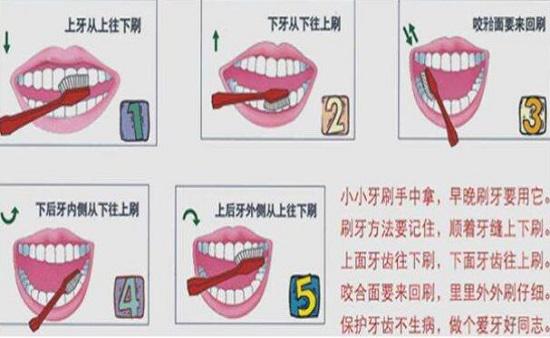 正确的刷牙方法