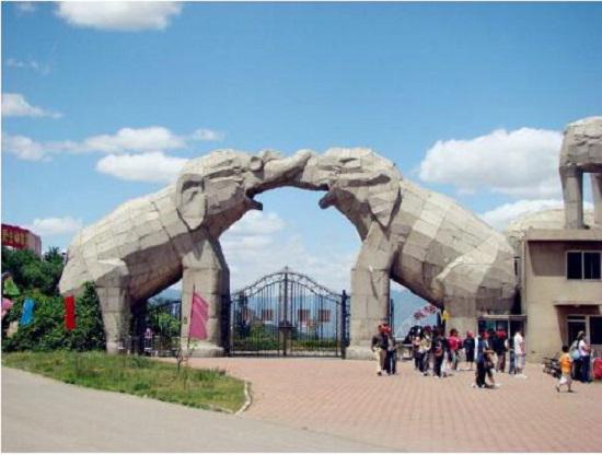 yeshengdongwu1