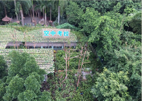 长隆野生动物世界游