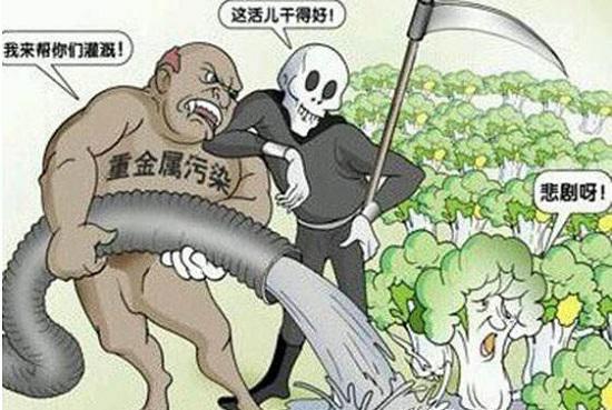 重金属污染