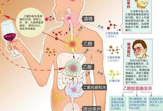酒精的危害
