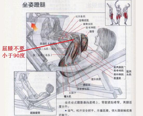 坐姿蹬腿器械