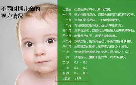 视力发育过程