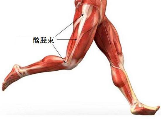 运动与运动损伤