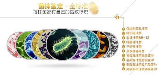 益生菌的各类和菌株都很重要