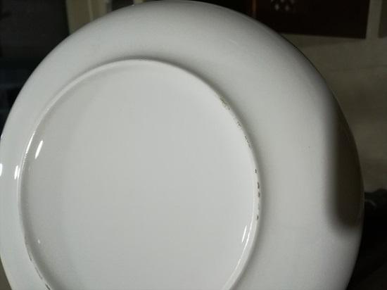 陶瓷制品（釉面有伤痕的白瓷碗）