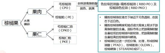 棕榈油是怎样炼成的