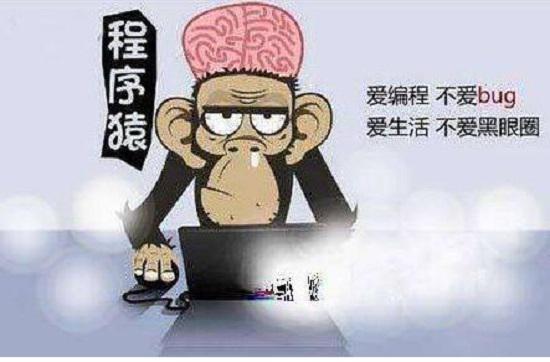 程序员