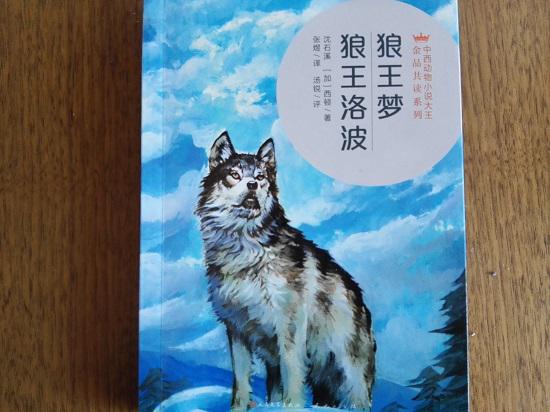 狼王梦